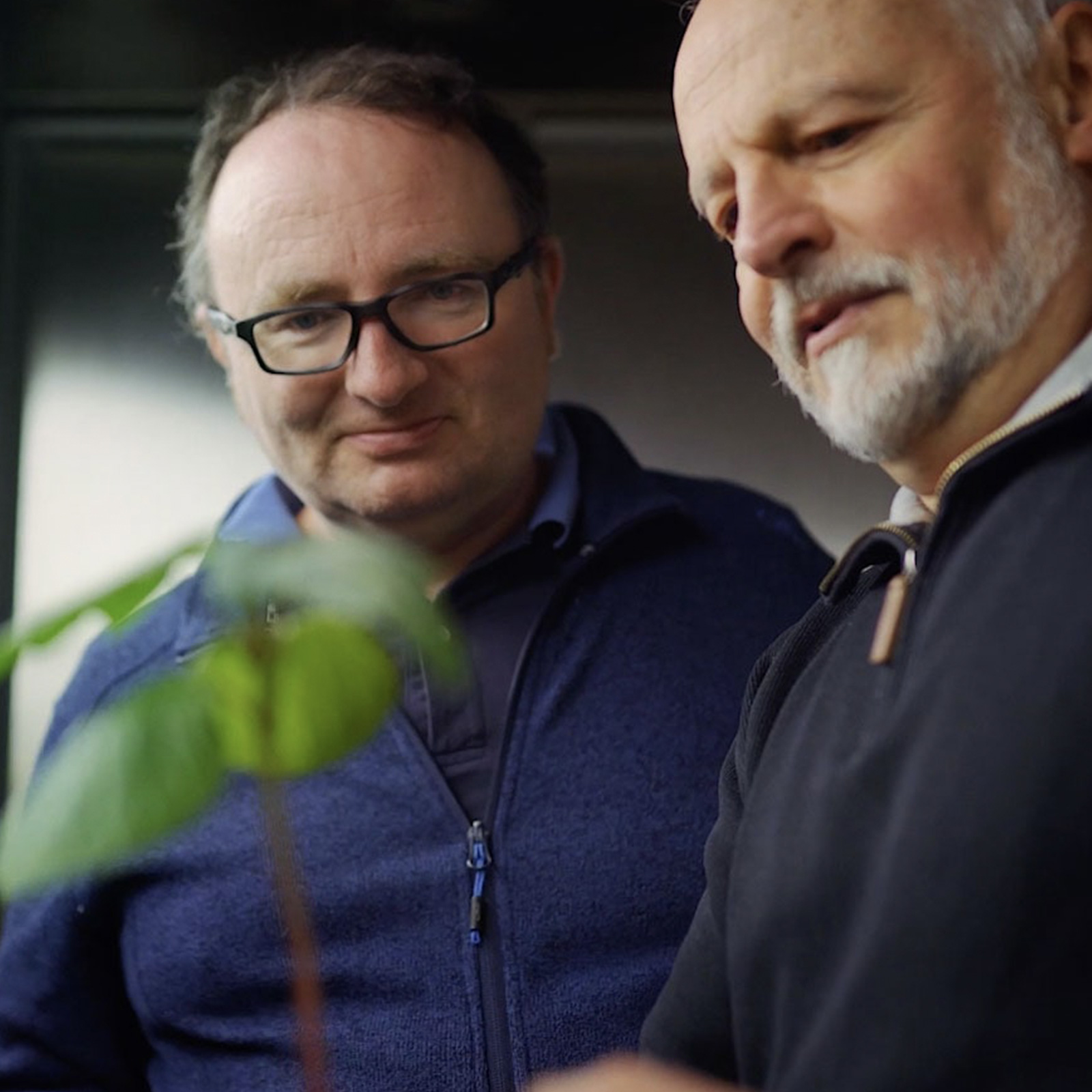 Phytoprove Webseite