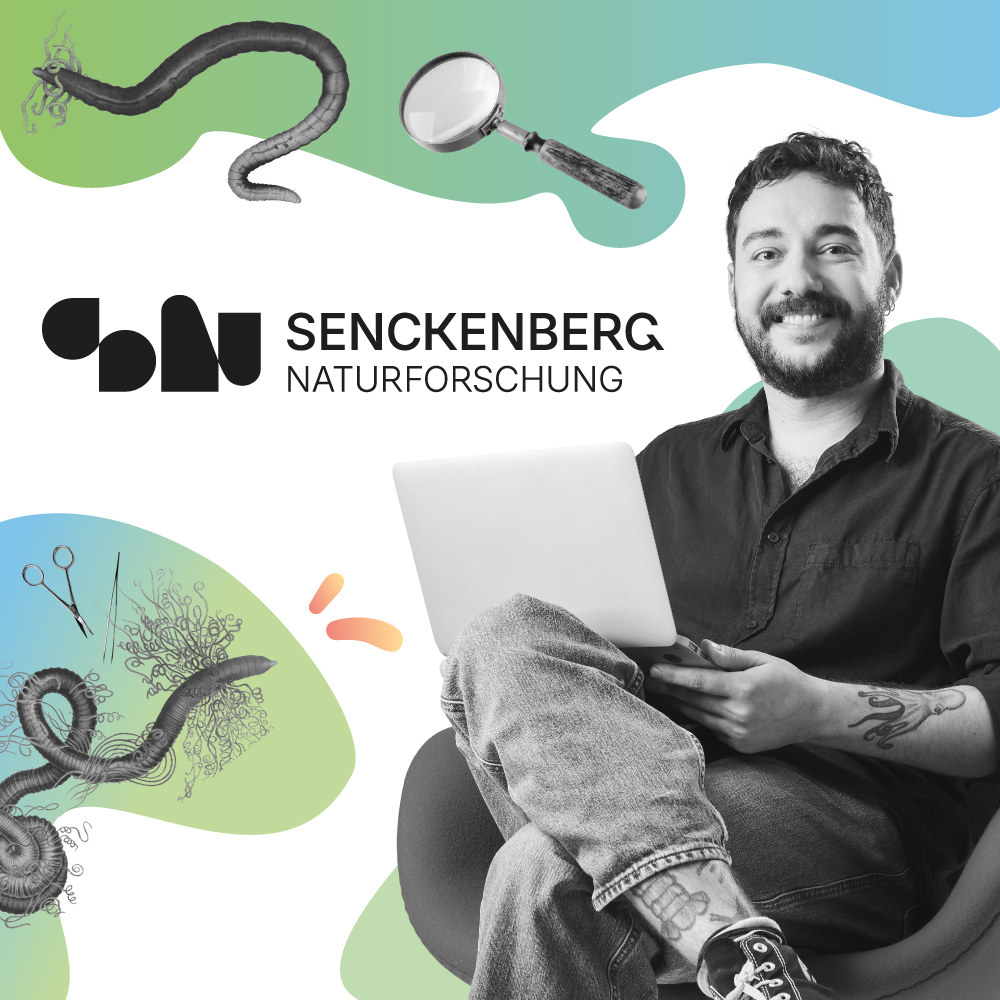 Senckenberg U-Bahn