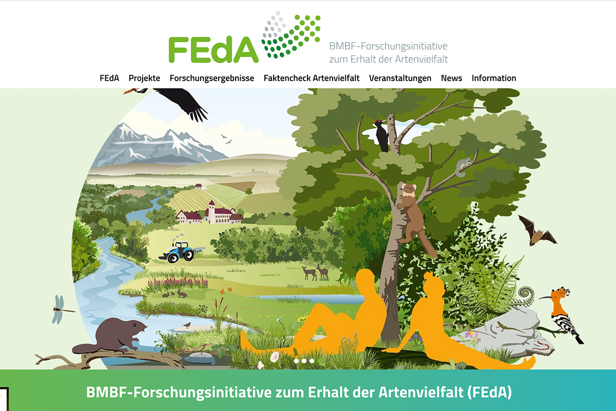 feda_website.jpg